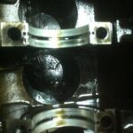 coupe_t20 (10)
